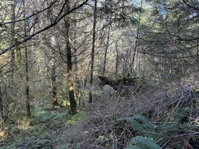 5 HILLTOP Dr 1403, Lakeside, OR 97449