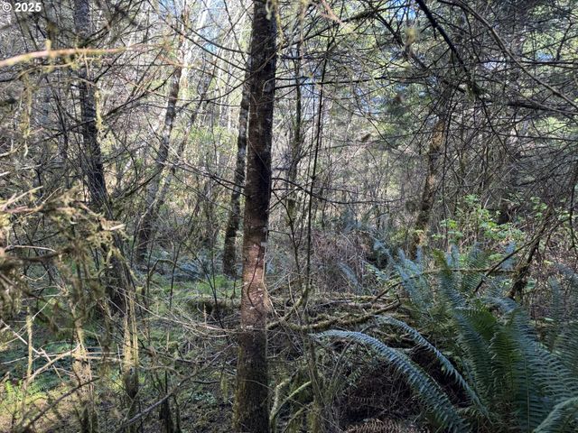 5 HILLTOP Dr 1403, Lakeside, OR 97449