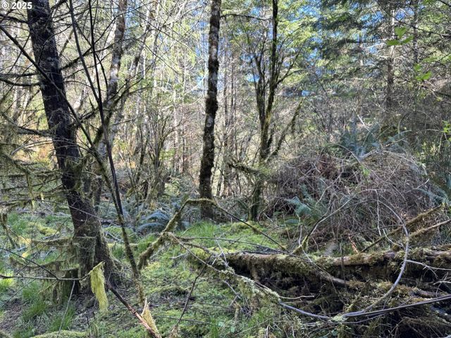 5 HILLTOP Dr 1403, Lakeside, OR 97449