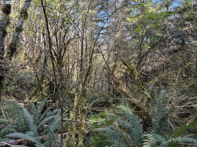 5 HILLTOP Dr 1403, Lakeside, OR 97449