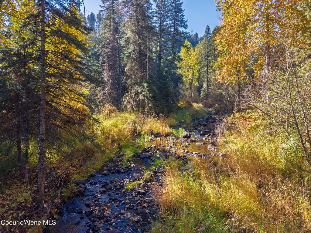 1005 Blake Creek RD, St. Maries, ID 83861 photo 2