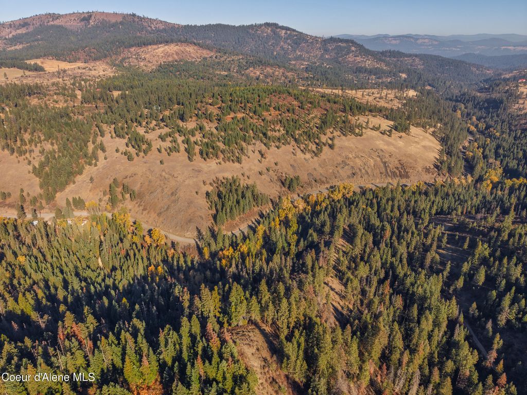 1005 Blake Creek RD, St. Maries, ID 83861 photo 3