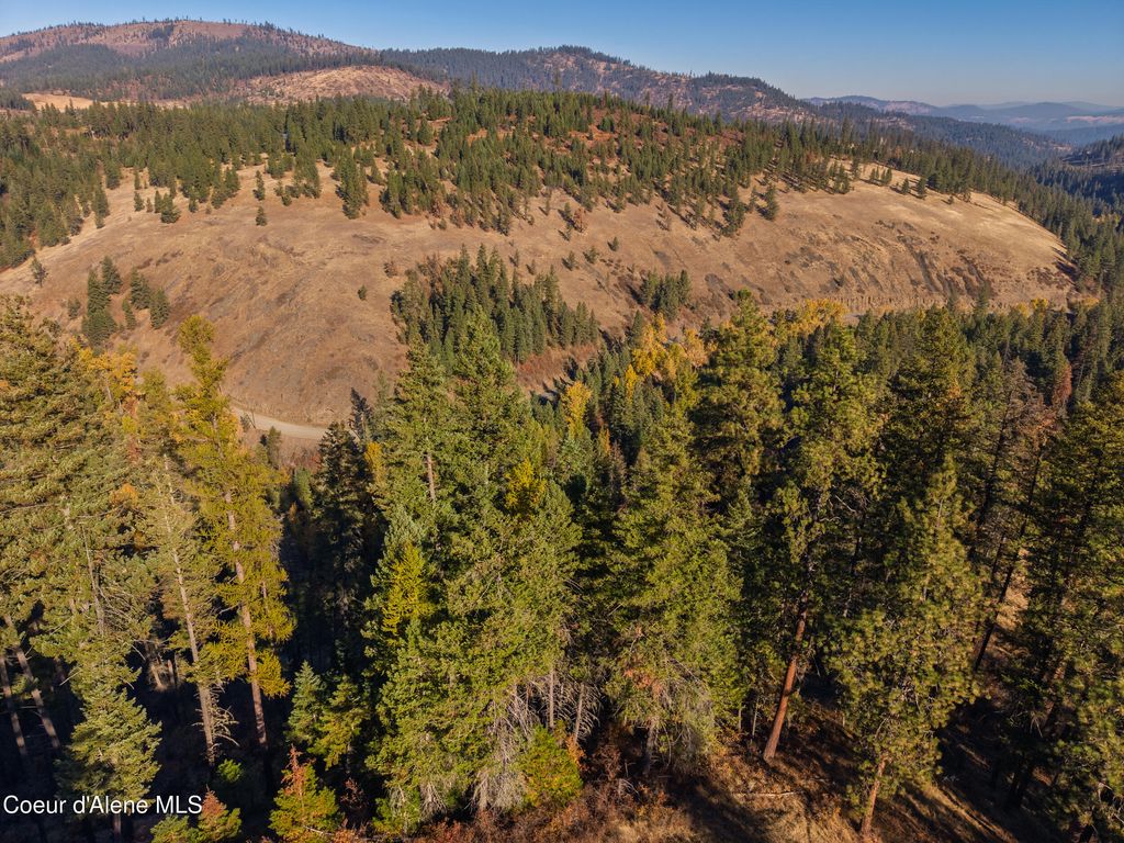 1005 Blake Creek RD, St. Maries, ID 83861 photo 4