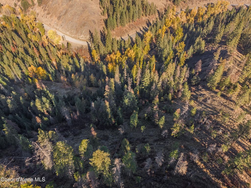 1005 Blake Creek RD, St. Maries, ID 83861 photo 5