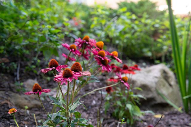 722 7th Street SW, Rochester, MN 55902