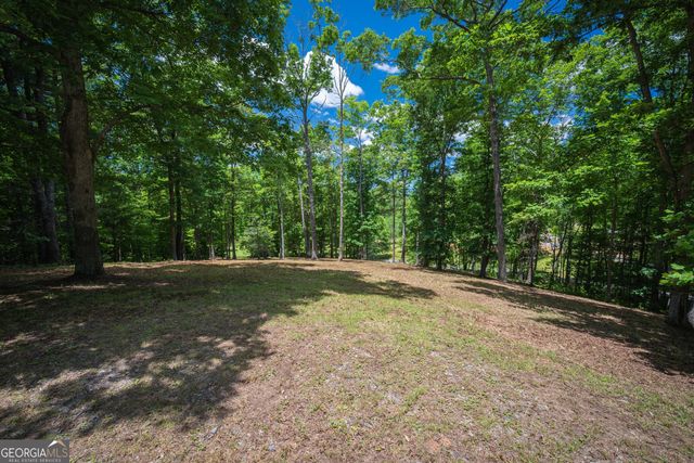 1.57AC Faith Hill Road, Mccaysville, GA 30555