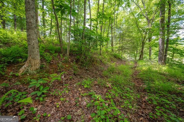 1.57AC Faith Hill Road, Mccaysville, GA 30555