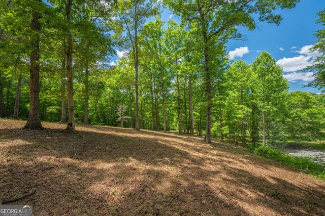 1.57AC Faith Hill Road, Mccaysville, GA 30555