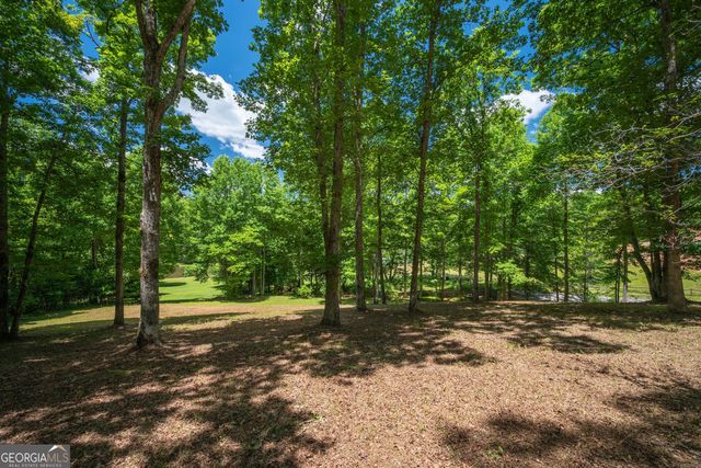 1.57AC Faith Hill Road, Mccaysville, GA 30555