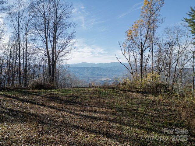 1098 Hyacinth Drive, Clyde, NC 28721