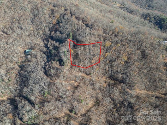 1098 Hyacinth Drive, Clyde, NC 28721