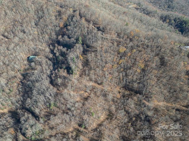 1098 Hyacinth Drive, Clyde, NC 28721