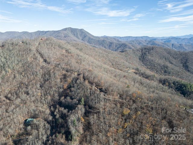 1098 Hyacinth Drive, Clyde, NC 28721