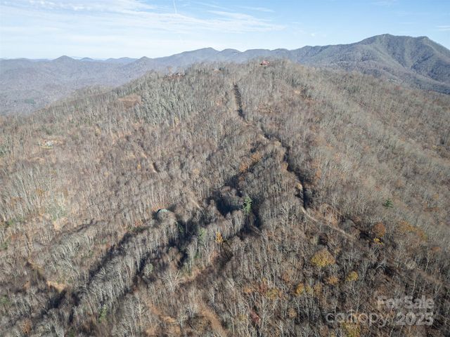 1098 Hyacinth Drive, Clyde, NC 28721