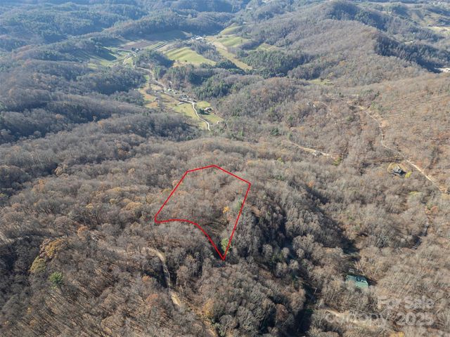 1098 Hyacinth Drive, Clyde, NC 28721