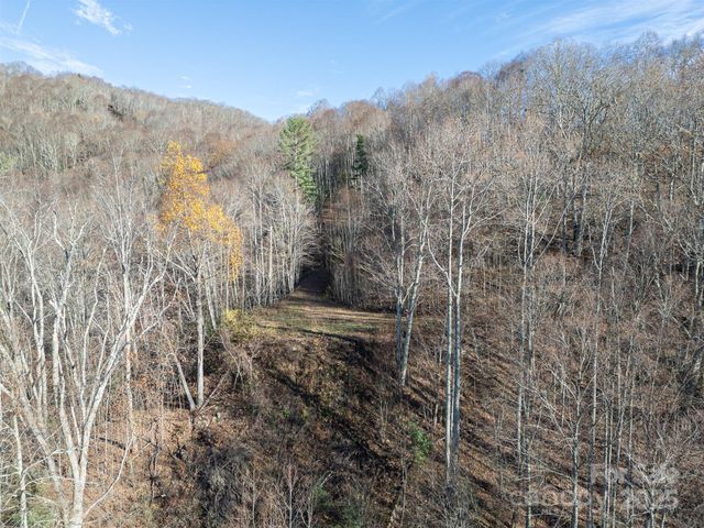 1098 Hyacinth Drive, Clyde, NC 28721