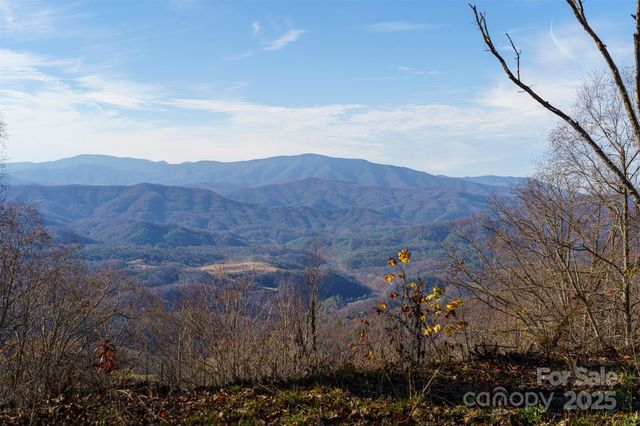 1098 Hyacinth Drive, Clyde, NC 28721