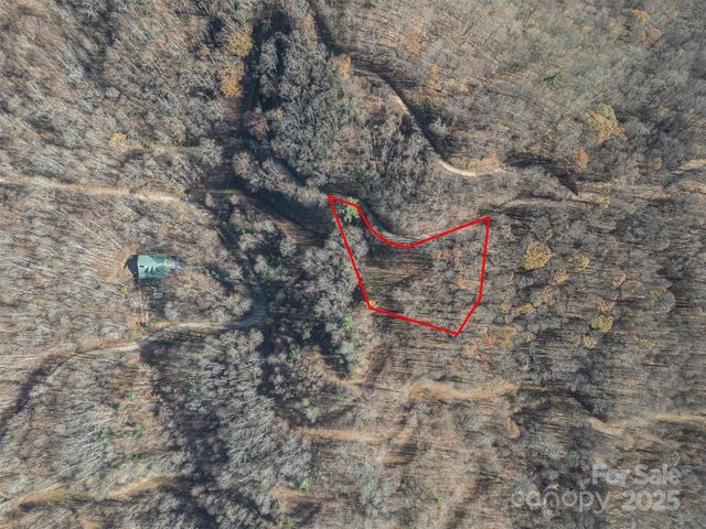 1098 Hyacinth Drive, Clyde, NC 28721