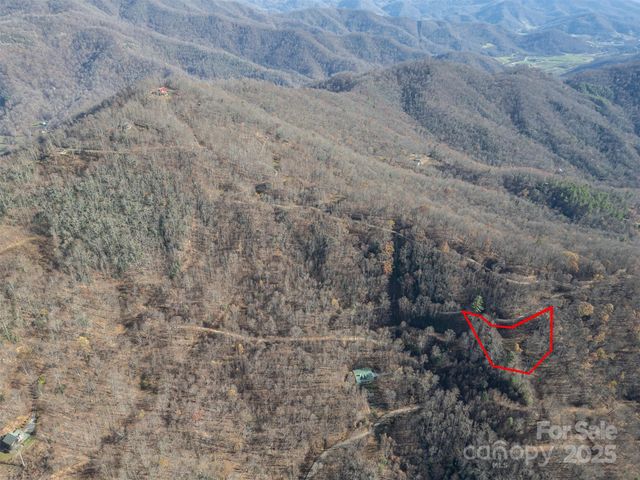 1098 Hyacinth Drive, Clyde, NC 28721