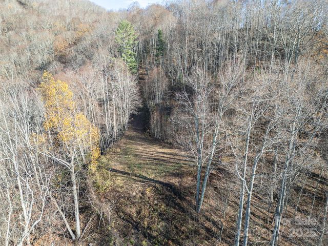 1098 Hyacinth Drive, Clyde, NC 28721