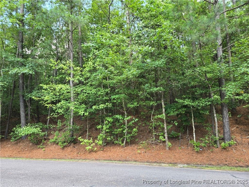 893 Loblolly Drive, Woodlake, NC 28394