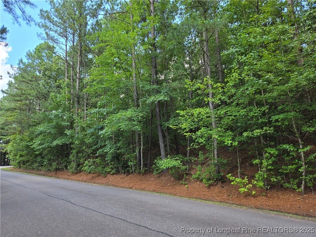 893 Loblolly Drive, Woodlake, NC 28394 — photo 2