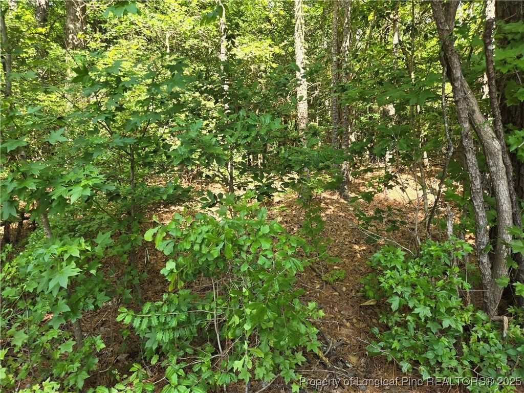893 Loblolly Drive, Woodlake, NC 28394 — photo 3