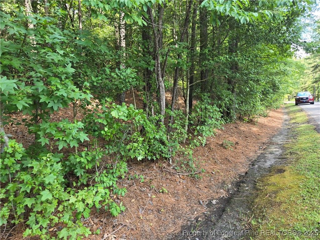 893 Loblolly Drive, Woodlake, NC 28394 — photo 4