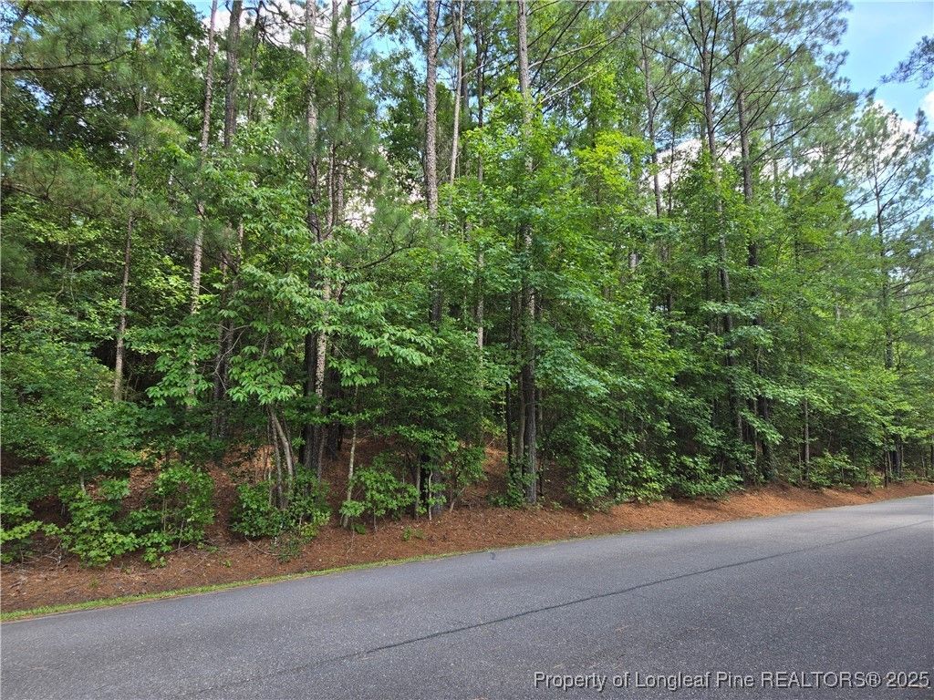 893 Loblolly Drive, Woodlake, NC 28394 — photo 5