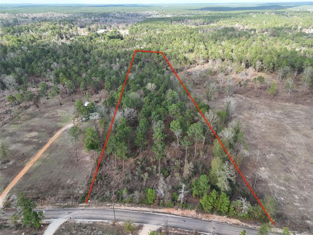 TBD Hanson Road, Onalaska, TX 77360