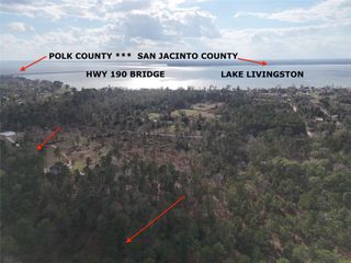 TBD Hanson Road, Onalaska, TX 77360