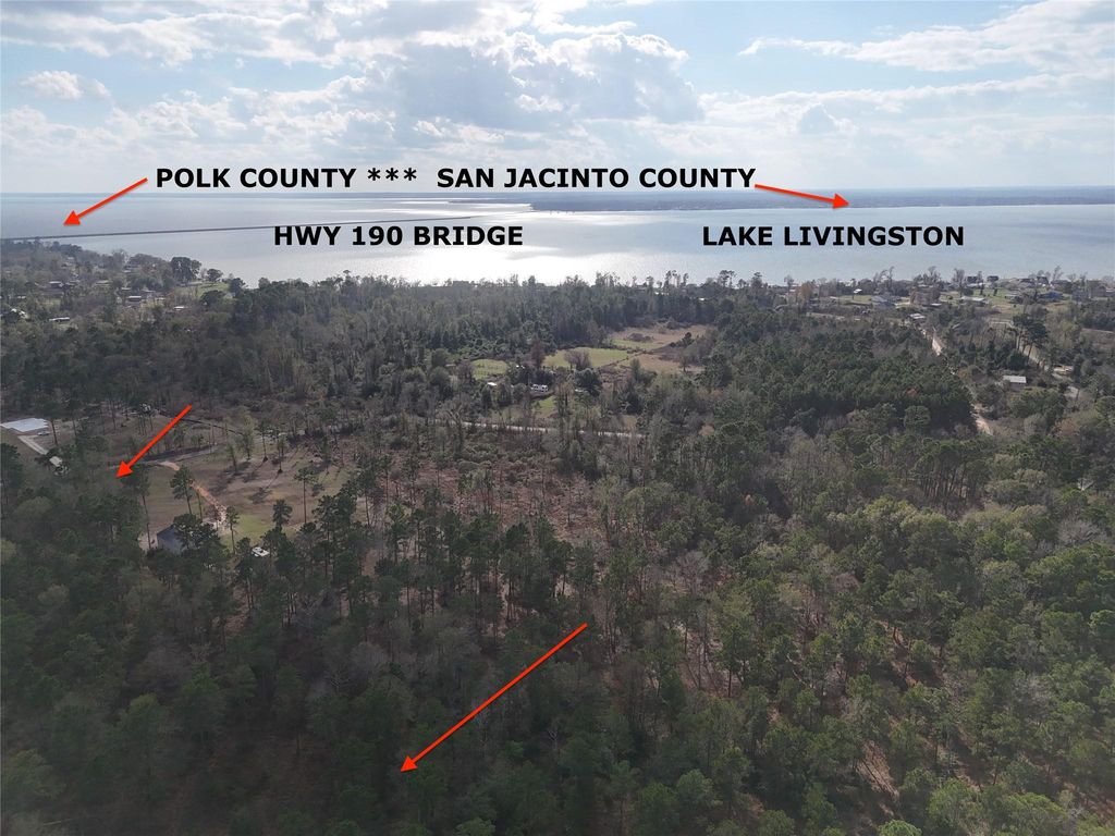 TBD Hanson Road, Onalaska, TX 77360