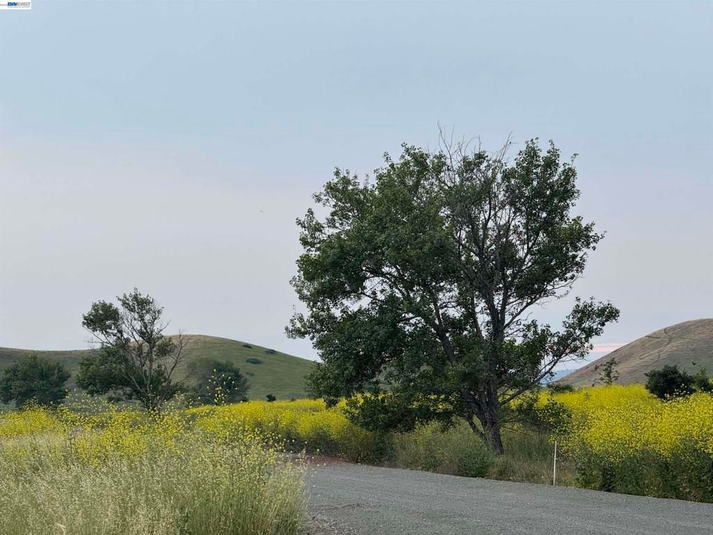 Image 3 of property listing at 33513 Bardolph Cir, Fremont, CA 94555