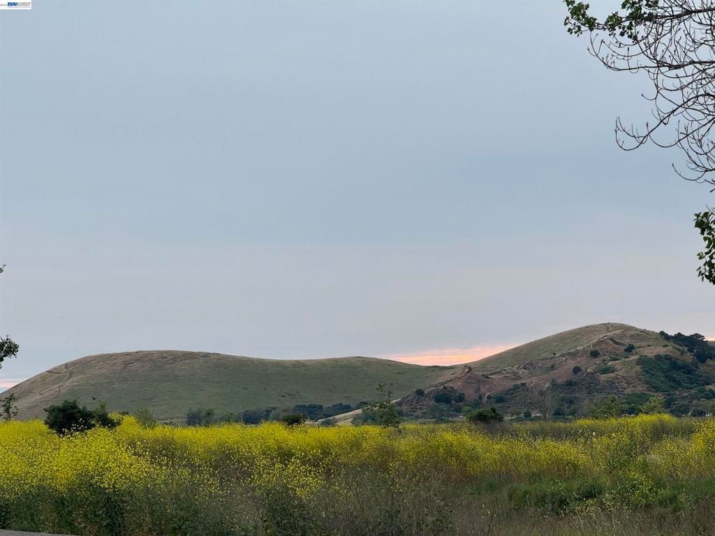 Image 51 of property listing at 33513 Bardolph Cir, Fremont, CA 94555