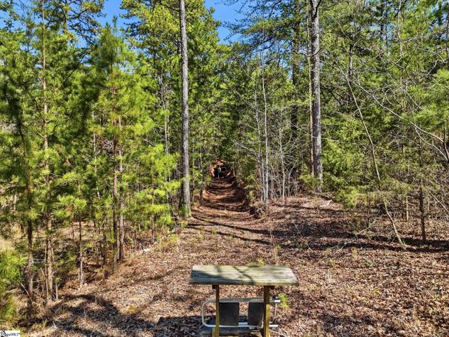 3206 252 Highway, Laurens, SC 29360