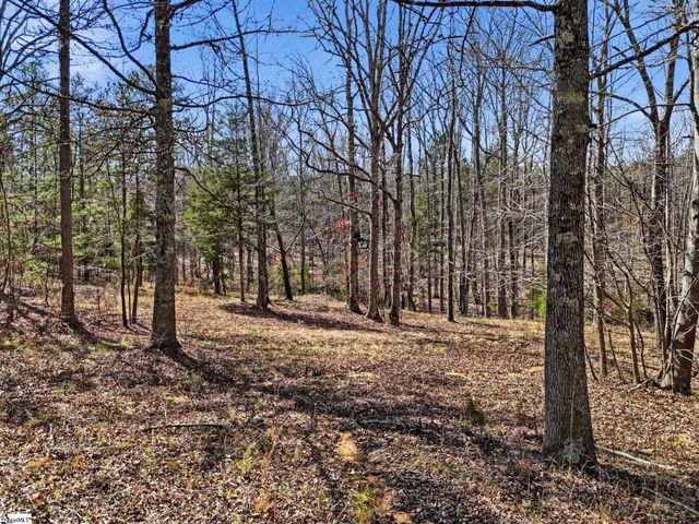 3206 252 Highway, Laurens, SC 29360