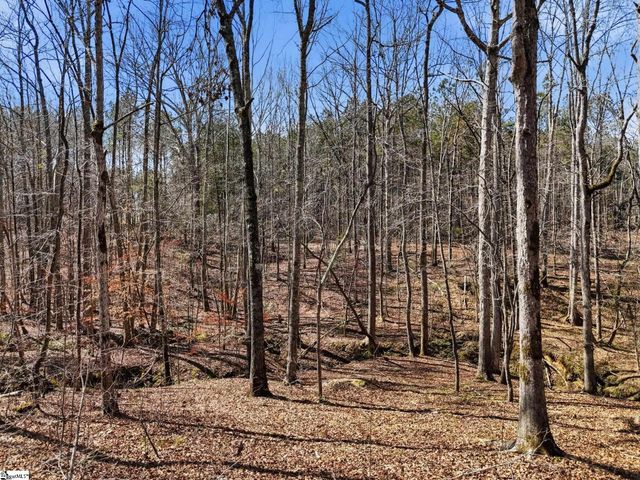 3206 252 Highway, Laurens, SC 29360