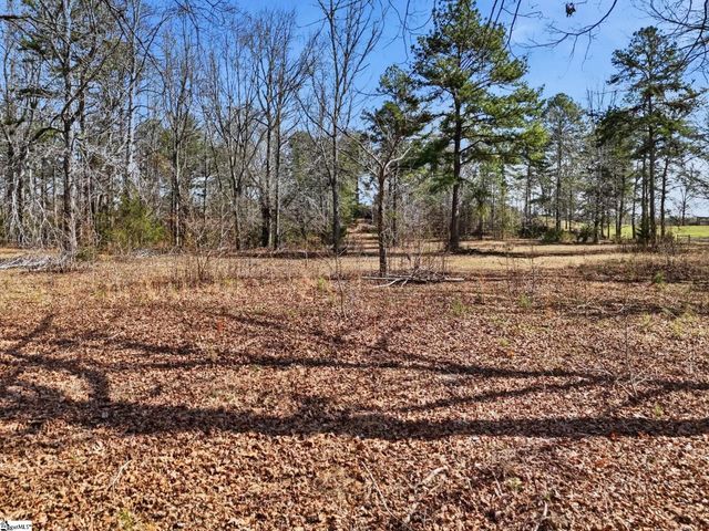 3206 252 Highway, Laurens, SC 29360