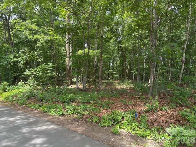 176 Dogwood Trail Lane, Indian Land, SC 29707