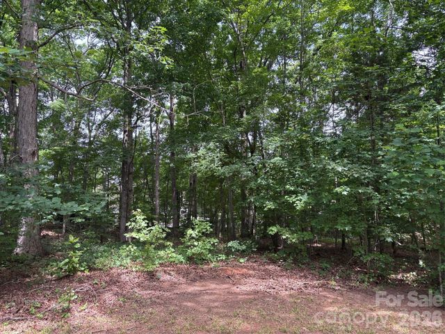 176 Dogwood Trail Lane, Indian Land, SC 29707