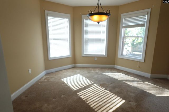 1135 ASHLAND Drive, Columbia, SC 29229