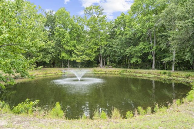 1363 Pinnacle Lane, Charleston, SC 29412
