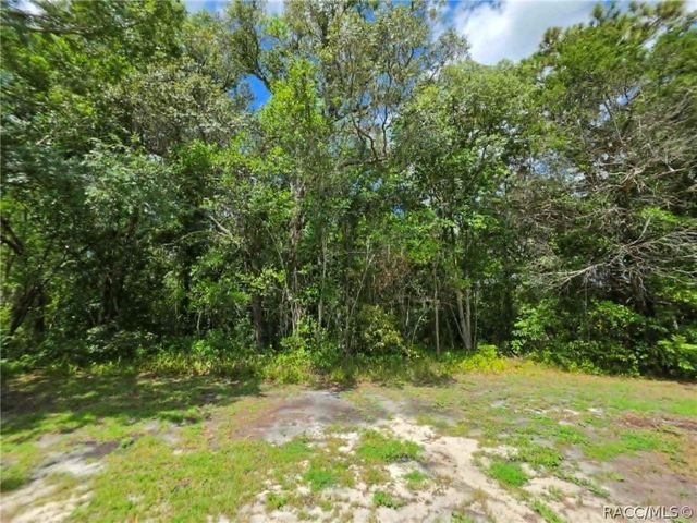 4 Laurelcherry Court, Homosassa, FL 34446