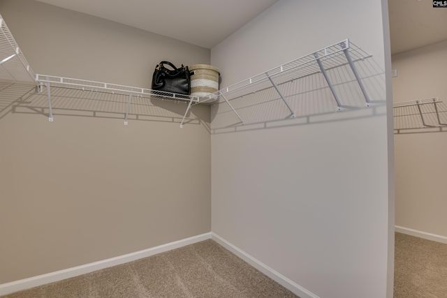 660 Rose Copper Way, Lexington, SC 29073