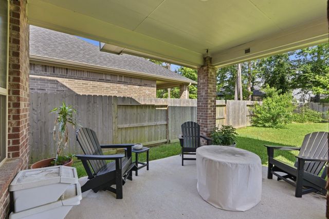 127 Buttonwood Court, Willis, TX 77318