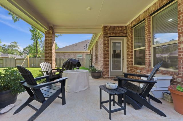127 Buttonwood Court, Willis, TX 77318