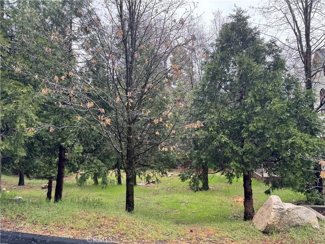 27525 Meadow Bay Drive, Lake Arrowhead, CA 92352