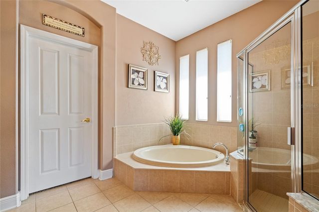 1615 BEACONSFIELD DRIVE, Wesley Chapel, FL 33543