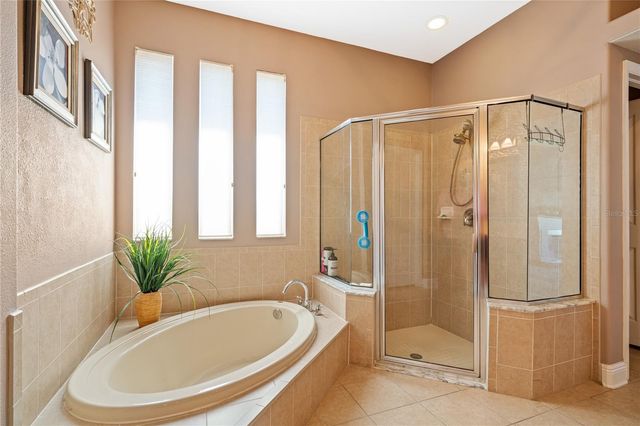 1615 BEACONSFIELD DRIVE, Wesley Chapel, FL 33543