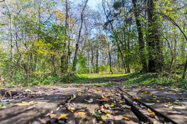 1045 Emerald Way, Castalian Springs, TN 37031